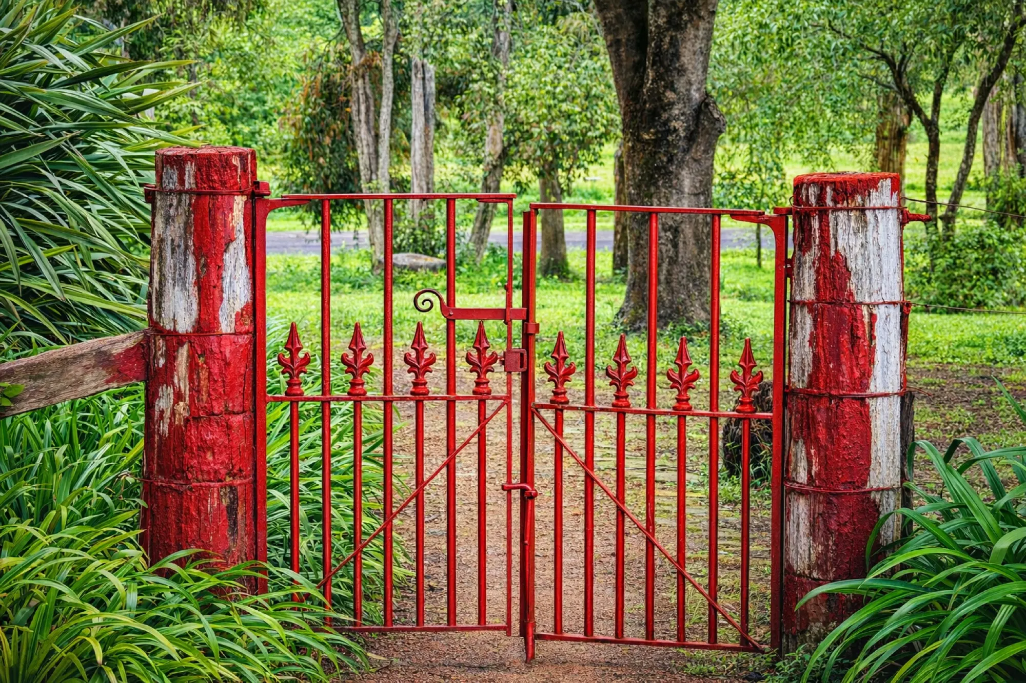 The gravel drive through the grounds