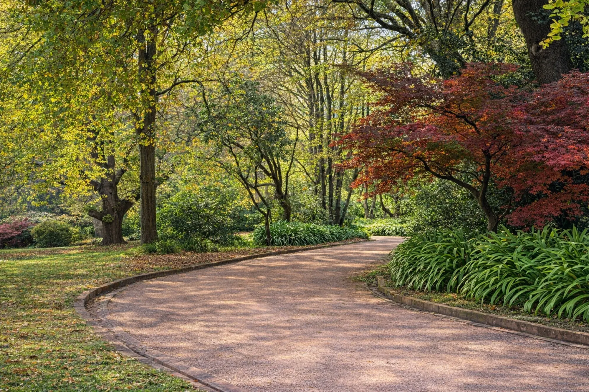 A curved garden path through the grounds in autumn