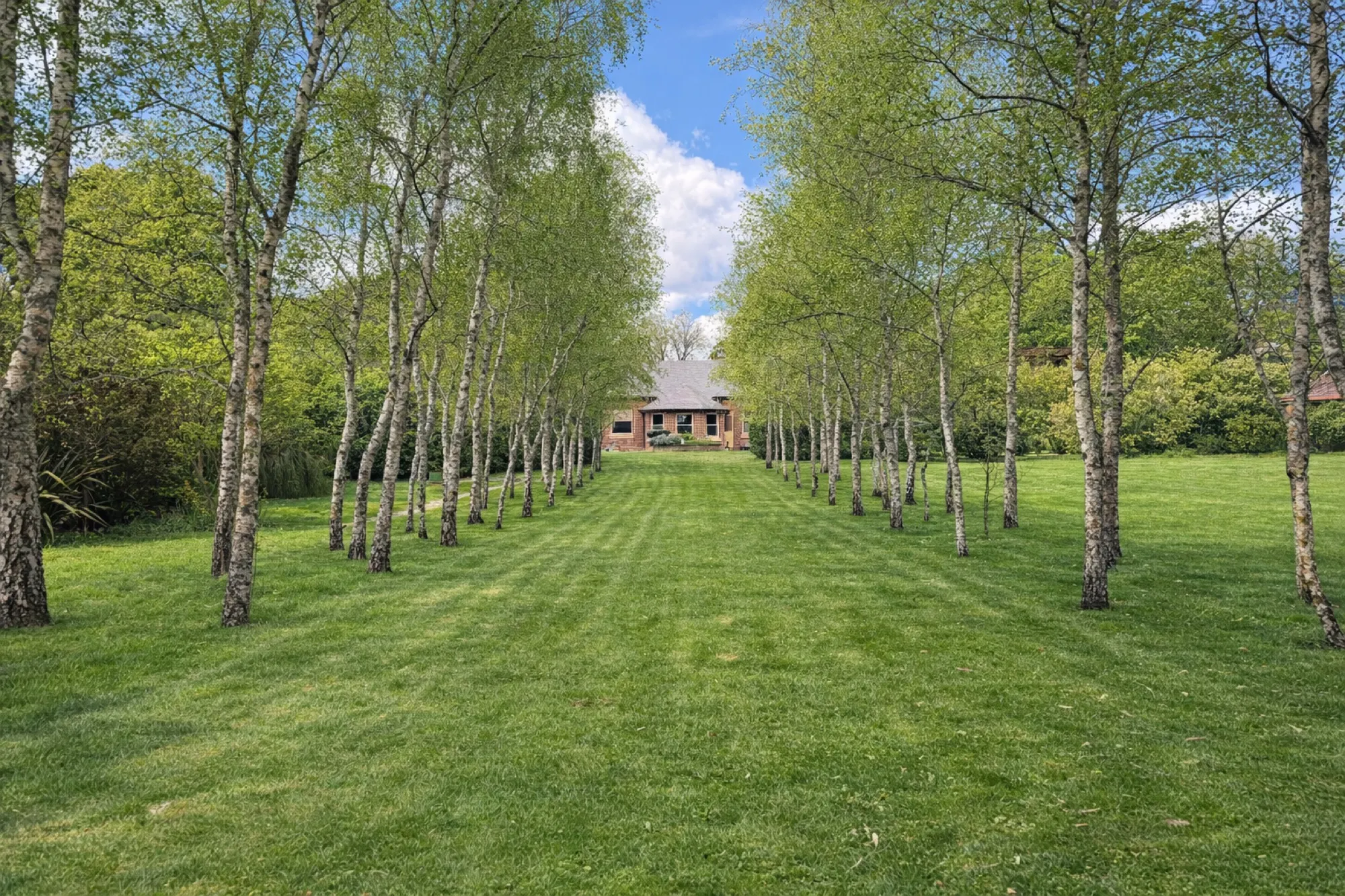 The tree-lined approach to the homestead on a still Highlands morning