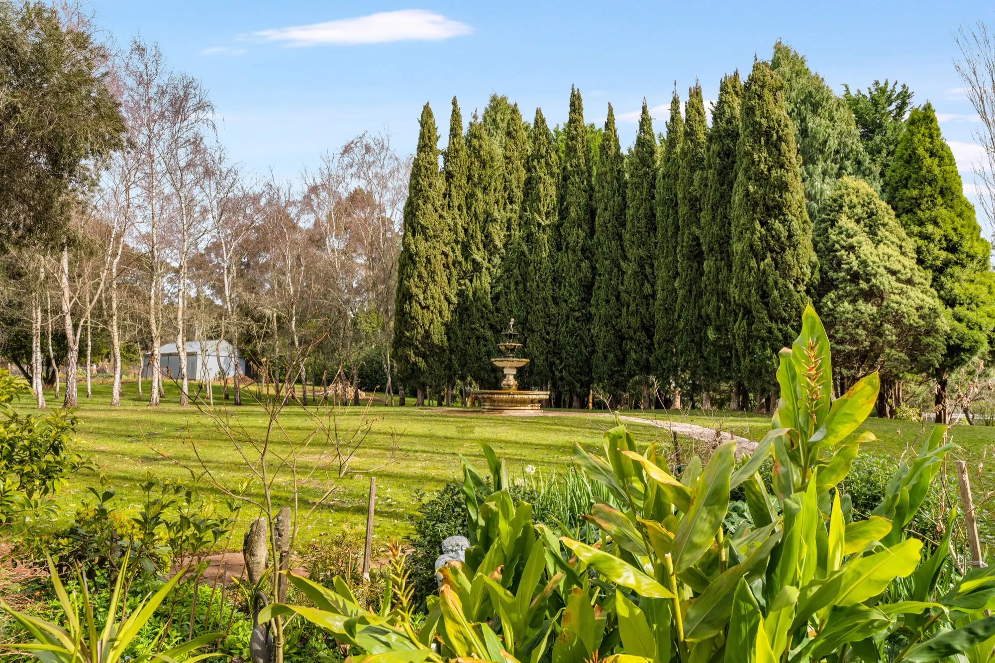 The golden garden at Seven Oaks